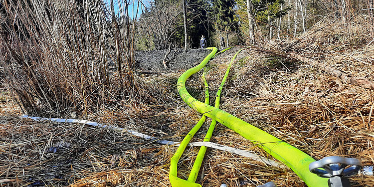Leuchtend gelbe Schläuche der Feuerwehr verlaufen über trockenes Gras und Zweige in einem Waldgebiet